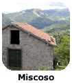 Miscoso